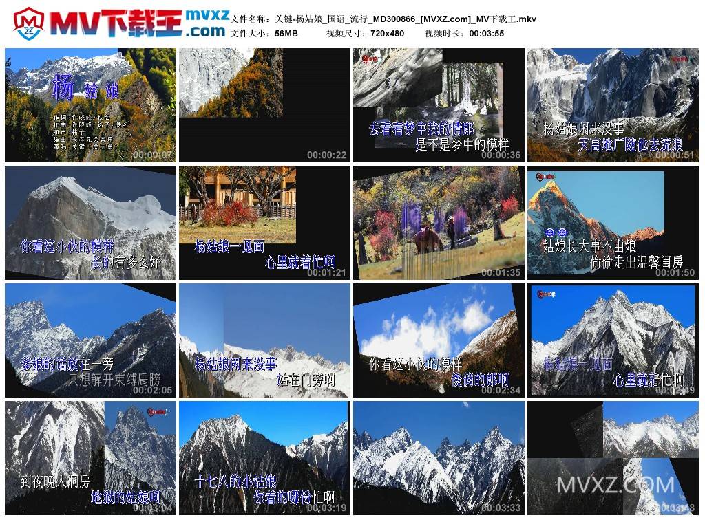 关键-杨姑娘_国语_流行_MD300866
